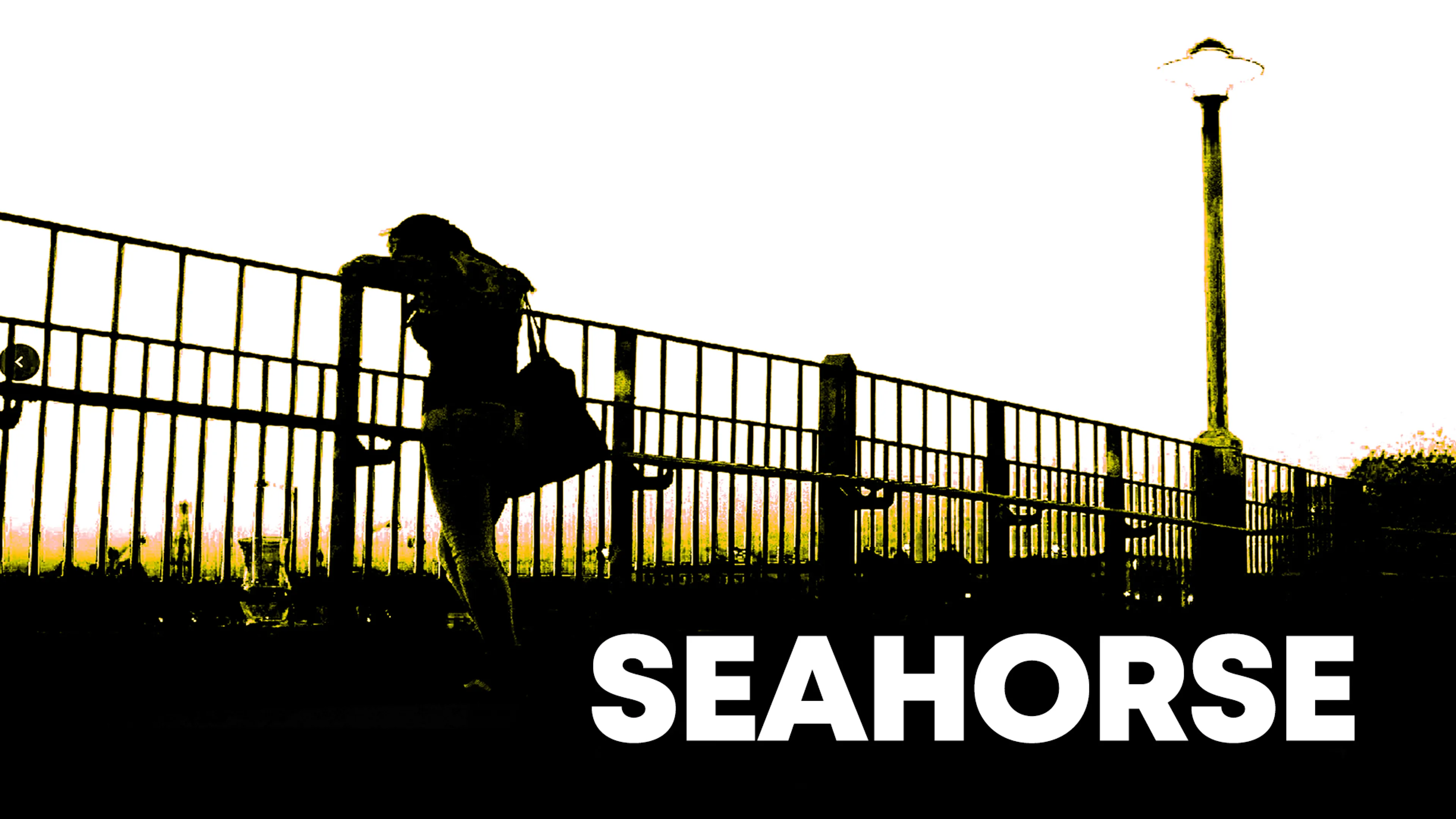 Seahorse poster